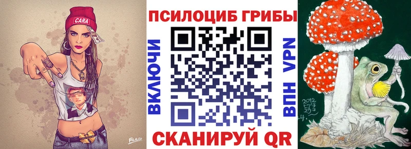 Псилоцибиновые грибы Cubensis  что такое   shop как зайти  Десногорск 